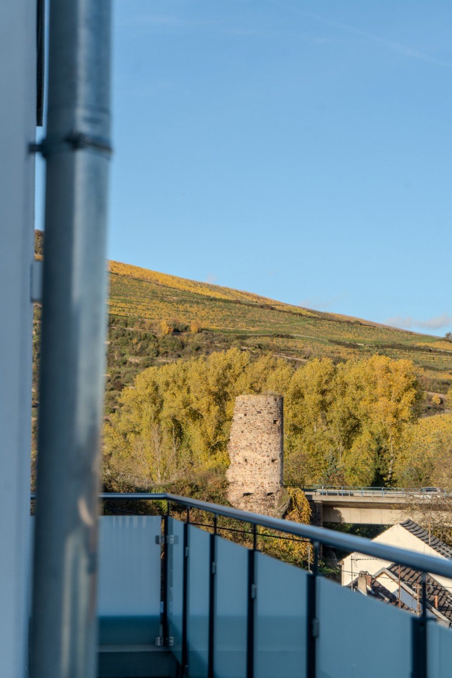 Blick �ber das Nahetal Penthousewohnung M�nster-Sarmsheim