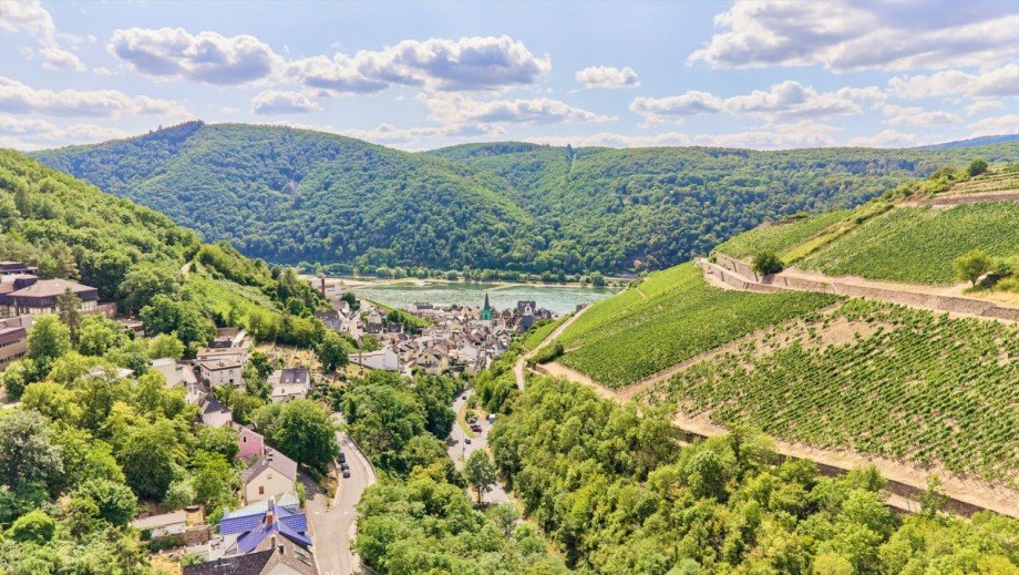 Blick ins Rheintal Mehrfamilienhaus R�desheim am Rhein