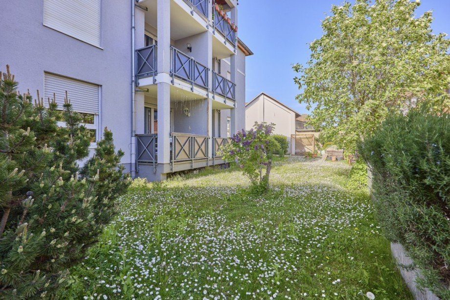 Gepflegte Gr�nfl�che hinter dem Haus Etagenwohnung Oestrich-Winkel