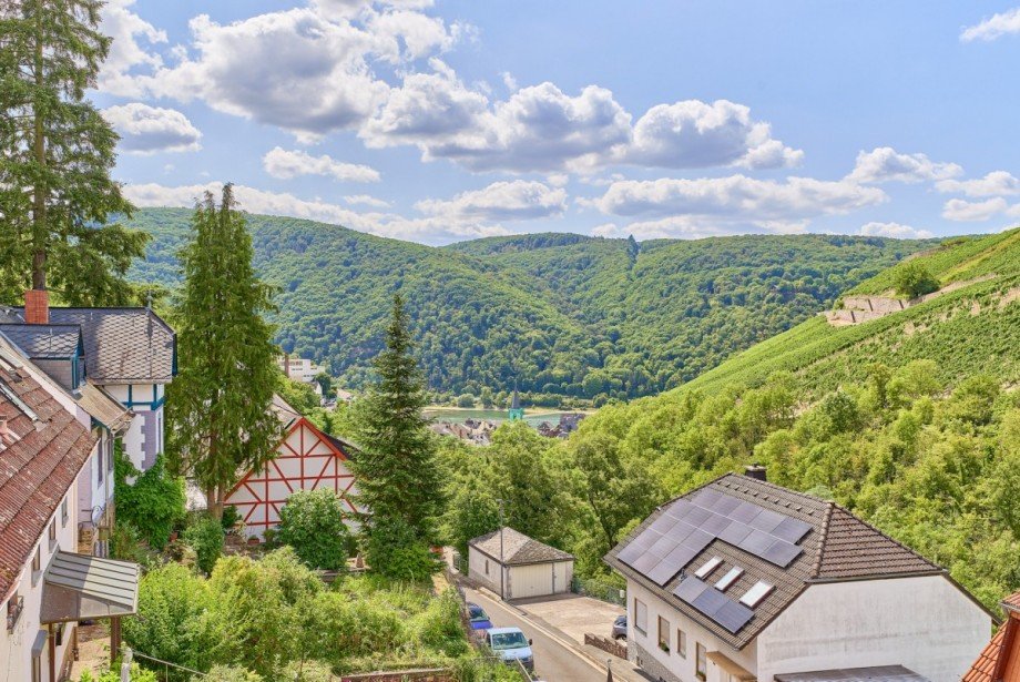 Ausblick aus dem Dachgeschoss Mehrfamilienhaus R�desheim am Rhein